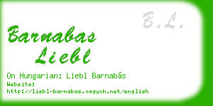 barnabas liebl business card