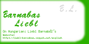 barnabas liebl business card